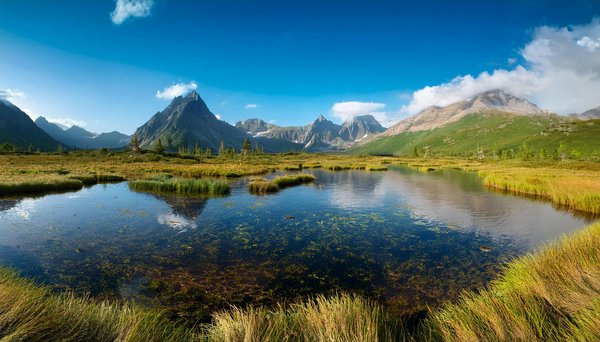 Où partir en vacances : découvrez les incontournables locales !