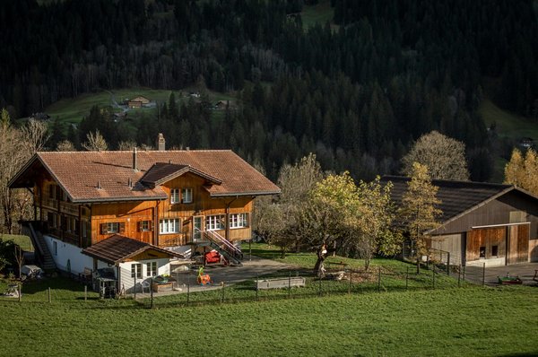 Séjournez au cœur des alpes : chalet à Morzine à louer